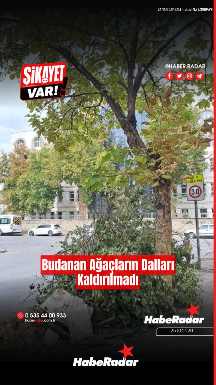 Mimarsinan'da budanan ağaçların dalları kaldırılmadı